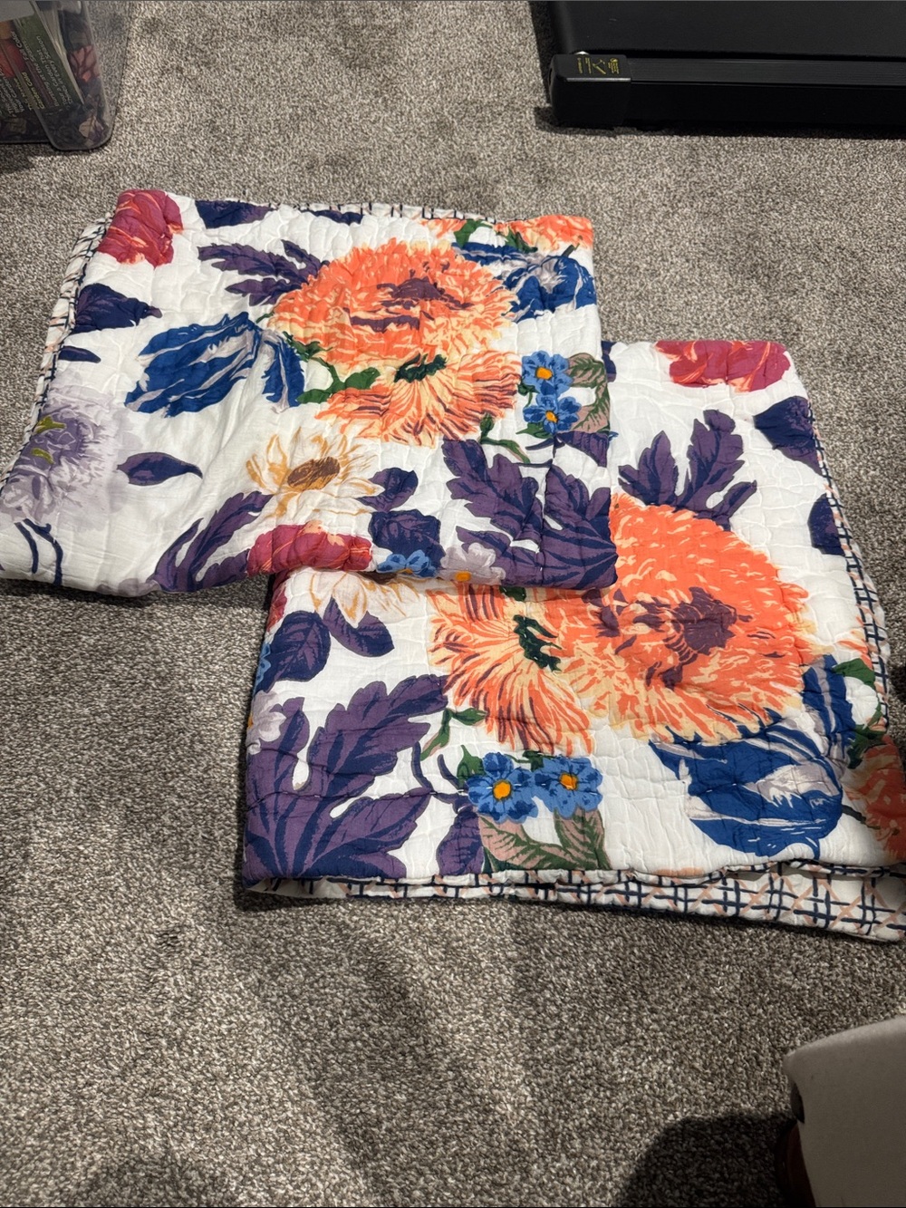 Anthropologie Agneta 2 pillow cases